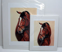 Horse Giclee Prints